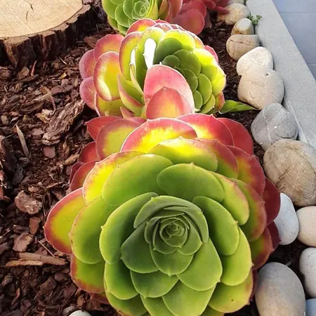 Casa Do Castelo Appartamento Gafanha da Nazaré